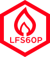 LFS 60 P  